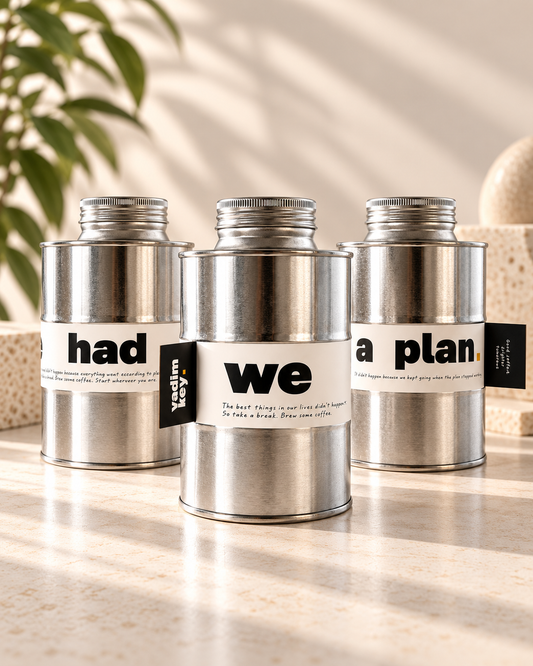 Three stainless steel coffee canisters with white labels are arranged on a marble surface in a warm, sunlit setting with a plant leaf in the background. The center canister is labeled 'we' and the side canisters are labeled 'had' and 'a plan'.